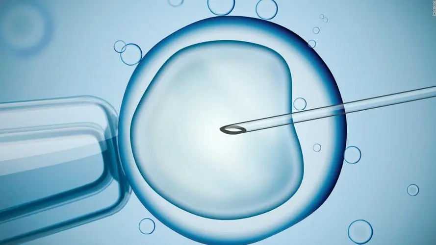 试管婴儿 筛选胚胎_哪家医院做供卵试管婴儿_amh0.05还能排卵吗？_4b2NI